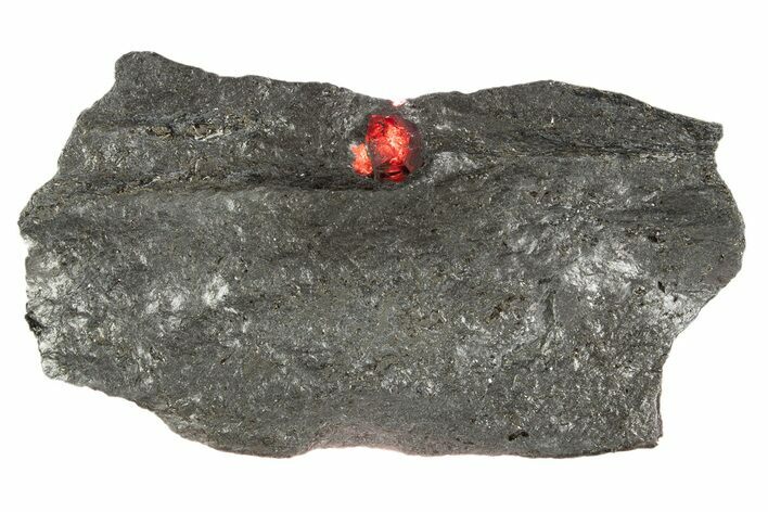 Red Embers Garnet in Graphite - Massachusetts #313479
